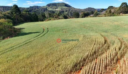 Chácara à venda, 3 hectares por R$ 380.000 - Jordão - Guarapuava/PR