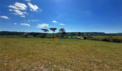 Chácara à venda, 05 Alqueires por R$ 1.350.000