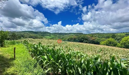 Chácara com 8 alqueires à venda, 193600 m² por R$ 2.500.000 - Guairacá - Guarapuava/PR