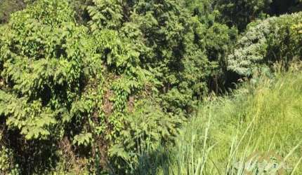 Terreno à venda, 1043 m² por R$ 1.124.000,00 - Chácara Malota - Jundiaí/SP
