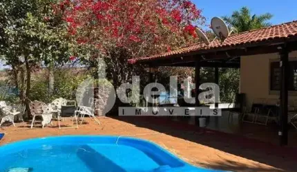 Chácara disponível para locação e venda na Zona Rural de Uberlândia em Uberlândia-MG