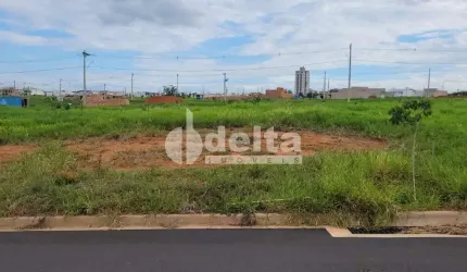 Terreno disponível para venda 250 m² no bairro Aclimação em Uberlândia-MG