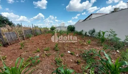Terreno disponível para venda 300 m² no bairro Pampulha em Uberlândia-MG