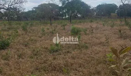 Chácara disponível para venda na Zona Rural de Uberlândia em Uberlândia-MG