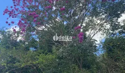 Chácara disponível para venda na região rural em Uberlândia-MG