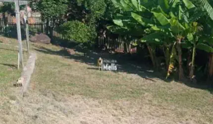 Excelente Terreno em Ótima Localização