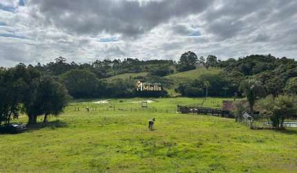 Sítio com 22 hectares na Braquinha