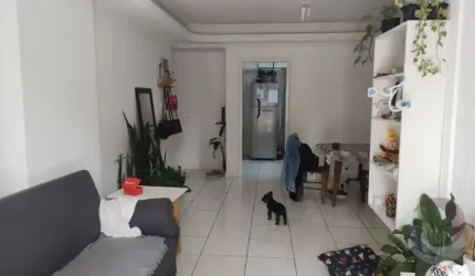 AMPLO Apartamento de 3 dormitórios no Kobrasol