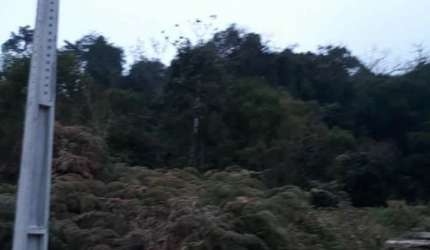 VENDO  TERRENO PRA SITIO !!!