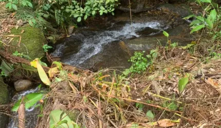 VENDO TERRENO PARA SITIO !!!