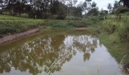 Terreno à venda na Rua Colibri Estrela Vermelha, Piracambaia I, Campinas por R$ 3.250.000