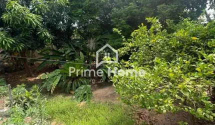 Casa com 6 quartos à venda na Rua Fernando Costa, 111, Jardim Primavera, Campinas, 167 m2 por R$ 650.000