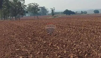 Fazenda 140 alqueires à Venda na Região de Tupã/SP - Cana