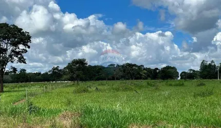 Fazenda 56 Alqueires - Cana - Região de São Carlos/SP