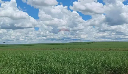 Fazenda à Venda 274 Alqueires - Região de Auriflama/SP - Cana