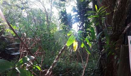 Terreno à venda na Rua Capitão Luís Rodrigues de Albuquerque, 98, Vila Irmãos Arnoni, São Paulo, 572 m2 por R$ 1.200.000