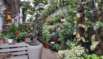 Barracão / Galpão / Depósito à venda na Rua Comendador Elias Assi, 659, Caxingui, São Paulo, 330 m2 por R$ 2.800.000