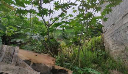 Terreno à venda na Rua Monsenhor Marcondes Nitsch, 108, Chora Menino, São Paulo, 520 m2 por R$ 1.700.000