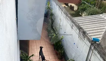 Casa com 6 quartos à venda na Rua Monsenhor Meireles, 542, Jardim Penha, São Paulo, 259 m2 por R$ 650.000