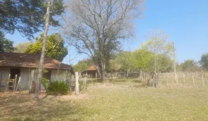 SÍTIO A VENDA REGIÃO DE BAURU/ SP 06 Alqueires Propriedade rica