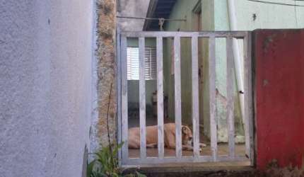 Casa em Santa Terezinha  -  São Bernardo do Campo