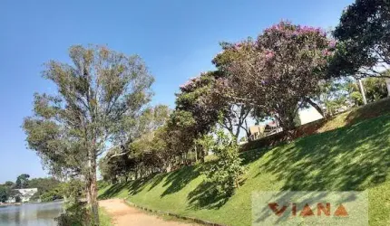 Terreno em Parque Airton sena   -  Valinhos