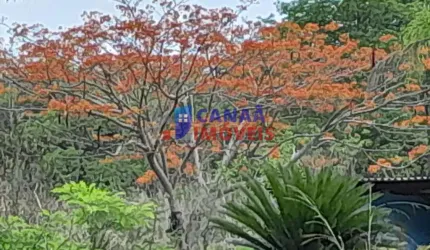 Chácara  à venda! Escriturada