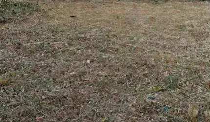 Terreno à venda, 720 m² por R$ 700.000 - Novo Rio Das Ostras - Rio das Ostras/RJ