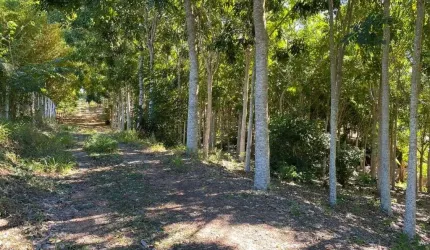 Terreno à venda, 1000 m² por R$ 350.000,00 - Zona Rural - Delfinópolis/MG