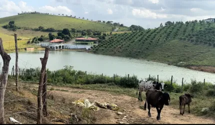 Ffazenda em vitória de santo antão com água abundante