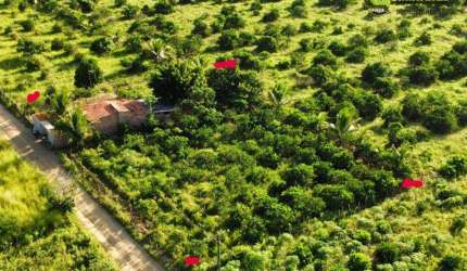 Terreno à venda, 2126 m² por R$ 150.000 - Centro - Cruz das Almas/BA