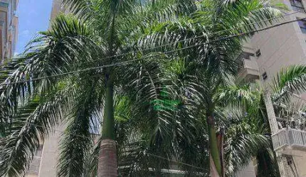 Cobertura com 4 dormitórios à venda, 207 m² - Santa Rosa - Niterói/RJ