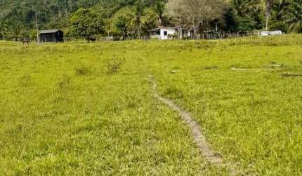 FAZENDA BOA PARA PECUARIA OPORTUNIDADE