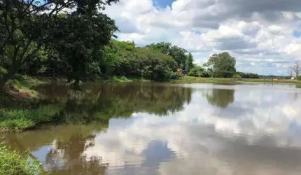 Terreno 1.000 metros Condomínio Jardins do Golfe