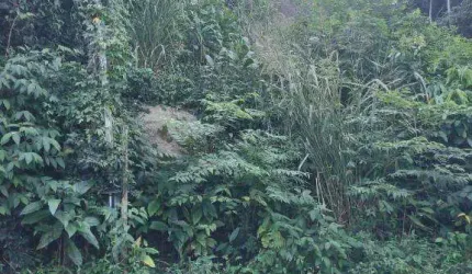Ocean vende:  Niteroi, Fazendinha, terreno 360M², vista lagoa, projeto e licença p construir
