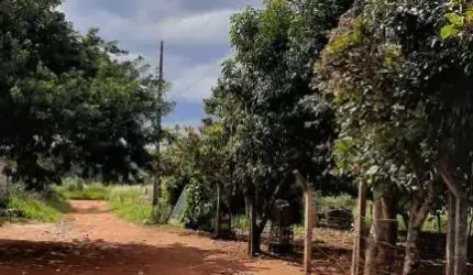 Terreno à venda de 10.000m² bem localizado em Goiânia.