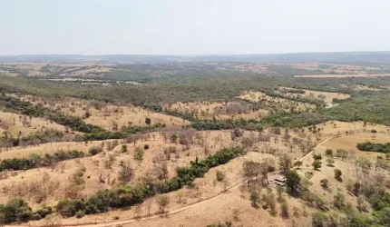 Fazenda 8,2 alqueires em Caldas novas