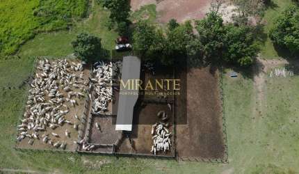 Fazenda em Alenquer-PA VENDA