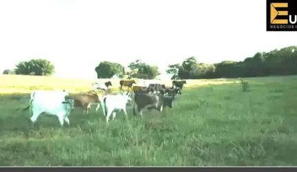 Fazenda à venda no Bairro do Aterrado em São Sebastião do Rio Verde/MG