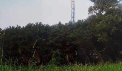 Área para aluguel no Santa Elisa em Valinhos/SP