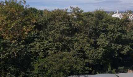Apartamento à venda no Condomínio Residencial Bosque do Frutal em Valinhos/SP