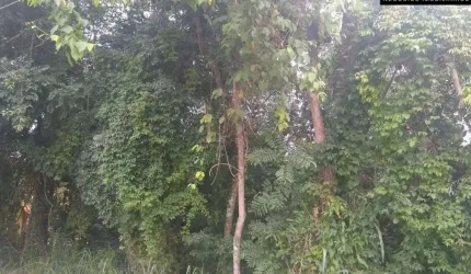 Terreno em Condomínio à venda no Condomínio São Joaquim em Vinhedo/SP