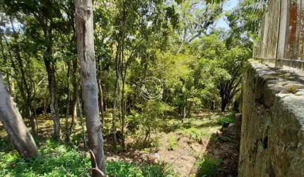 Terreno para Venda em Florianópolis, Lagoa Da Conceição