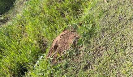 Terreno para Venda em Florianópolis, Itacorubi