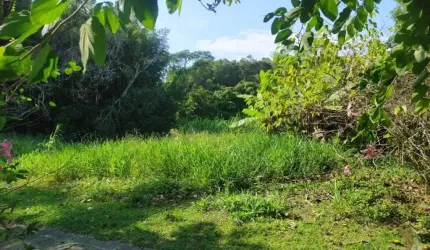 Terreno para Venda em Florianópolis, Rio Tavares