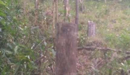 Terreno para Venda em Florianópolis, João Paulo