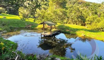 Sítio para Venda em Florianópolis, Pântano do Sul, 5 dormitórios, 1 suíte, 3 banheiros, 2 vagas