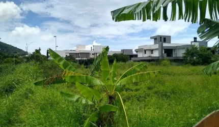 Terreno para Venda em Florianópolis, Lagoa Da Conceição