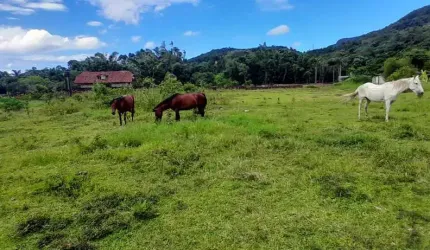 Sítio para Venda em Florianópolis, Ratones