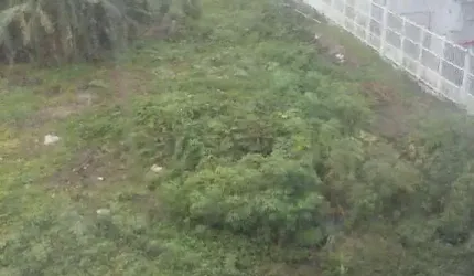 Terreno para Venda em Florianópolis, Ingleses